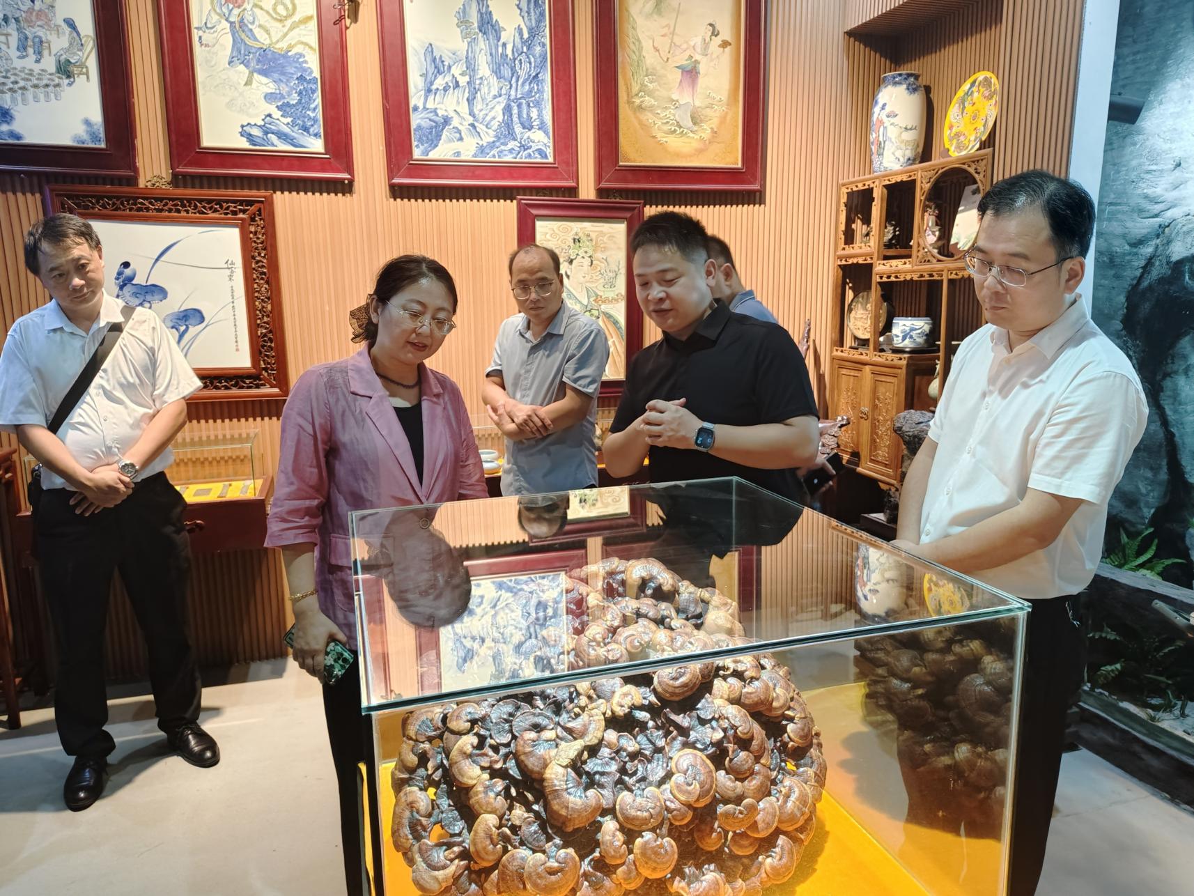 杭州亞運會官方靈芝產品供應商|杭州亞運會官方供應商|中國靈芝十大品牌|仙客來靈芝|仙客來靈芝破壁孢子粉|仙客來孢子油|仙客來靈芝飲片|仙客來破壁孢子粉|靈芝孢子油|孢子粉|靈芝破壁孢子粉|靈芝|中華老字號 杭州亞運會官方靈芝產品供應商|杭州亞運會官方供應商|中國靈芝十大品牌|仙客來靈芝|仙客來靈芝破壁孢子粉|仙客來孢子油|仙客來靈芝飲片|仙客來破壁孢子粉|靈芝孢子油|孢子粉|靈芝破壁孢子粉|靈芝|中華老字號