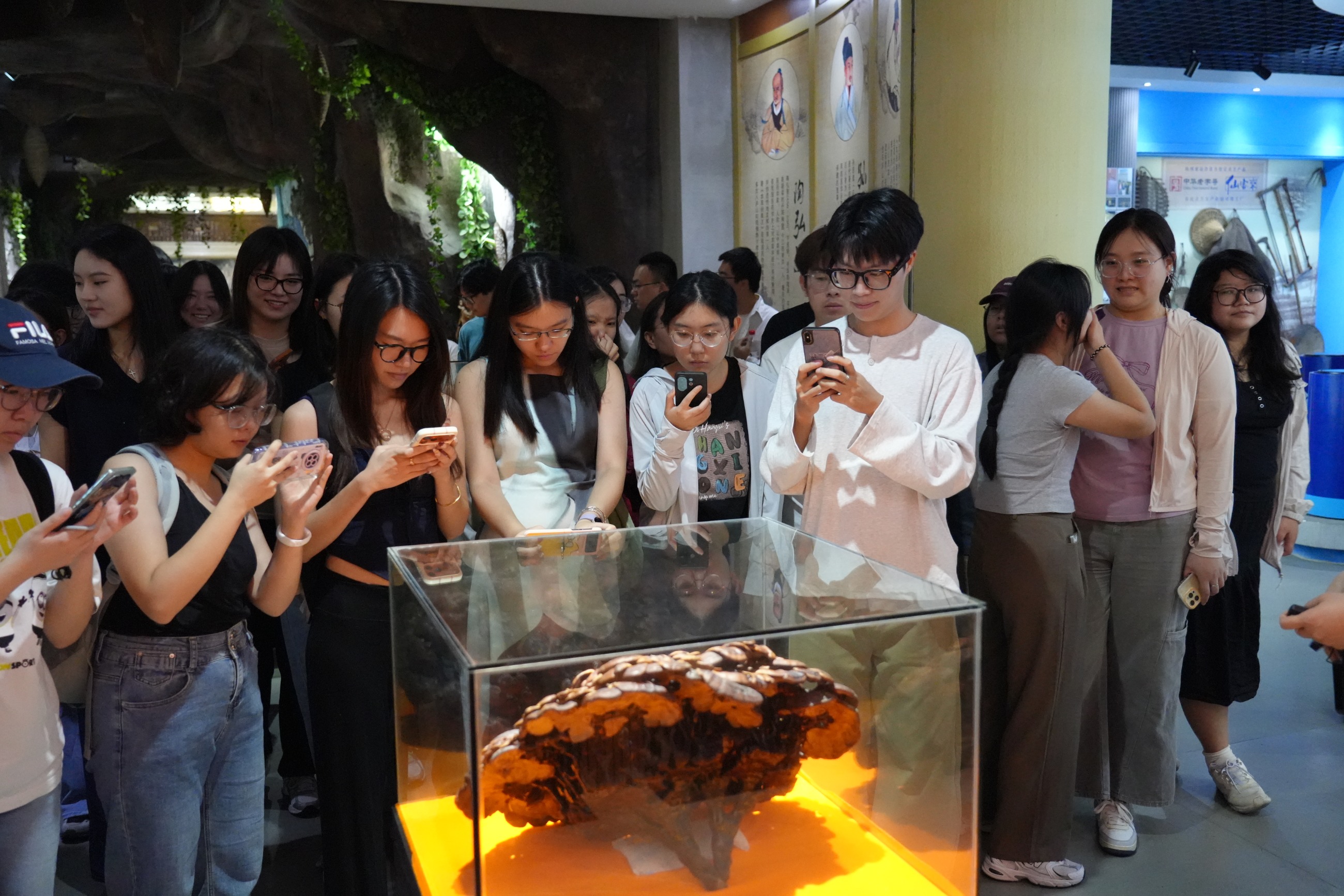 杭州亞運(yùn)會官方靈芝產(chǎn)品供應(yīng)商|杭州亞運(yùn)會官方供應(yīng)商|中國靈芝十大品牌|仙客來靈芝|仙客來靈芝破壁孢子粉|仙客來孢子油|仙客來靈芝飲片|仙客來破壁孢子粉|靈芝孢子油|孢子粉|靈芝破壁孢子粉|靈芝|中華老字號 杭州亞運(yùn)會官方靈芝產(chǎn)品供應(yīng)商|杭州亞運(yùn)會官方供應(yīng)商|中國靈芝十大品牌|仙客來靈芝|仙客來靈芝破壁孢子粉|仙客來孢子油|仙客來靈芝飲片|仙客來破壁孢子粉|靈芝孢子油|孢子粉|靈芝破壁孢子粉|靈芝|中華老字號