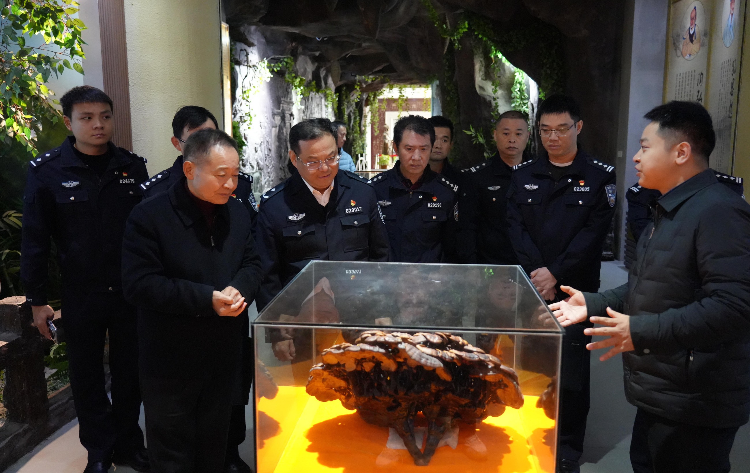 杭州亞運(yùn)會官方靈芝產(chǎn)品供應(yīng)商|杭州亞運(yùn)會官方供應(yīng)商|中國靈芝十大品牌|仙客來靈芝|仙客來靈芝破壁孢子粉|仙客來孢子油|仙客來靈芝飲片|仙客來破壁孢子粉|靈芝孢子油|孢子粉|靈芝破壁孢子粉|靈芝|中華老字號 杭州亞運(yùn)會官方靈芝產(chǎn)品供應(yīng)商|杭州亞運(yùn)會官方供應(yīng)商|中國靈芝十大品牌|仙客來靈芝|仙客來靈芝破壁孢子粉|仙客來孢子油|仙客來靈芝飲片|仙客來破壁孢子粉|靈芝孢子油|孢子粉|靈芝破壁孢子粉|靈芝|中華老字號