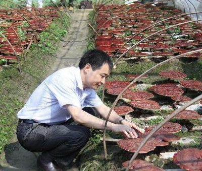 《中國(guó)食品報(bào)》報(bào)道仙客來公司多產(chǎn)業(yè)融合發(fā)展