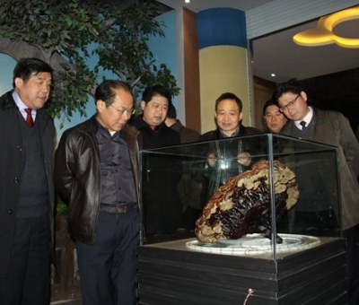 市委常委、宣傳部長(zhǎng)潘熙寧，副市長(zhǎng)盧天錫蒞臨仙客來(lái)公司走訪