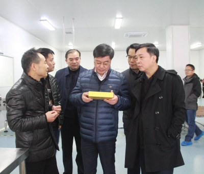 江西省檢察院黨組成員、副檢察長(zhǎng)徐勝平一行來公司走訪調(diào)研