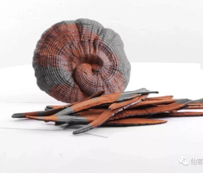 先，鮮，仙，一杯飲盡天下鮮。