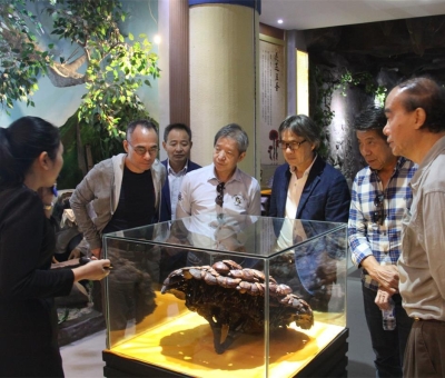 健康“良方”在這！全國政協(xié)委員、世界著名大學(xué)香港大學(xué) 榮譽院士孫少文博士蒞臨仙客來公司參觀考察