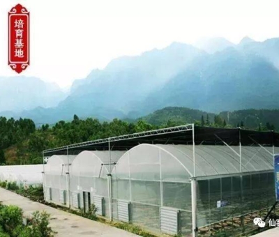 增強(qiáng)免疫力保健食品原料，它排第一