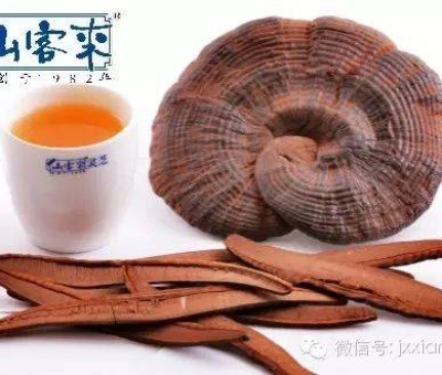 熱潮不斷！仙客來(lái)有機(jī)靈芝被點(diǎn)贊刷屏