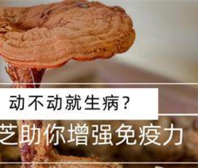 冬病夏治-如何調(diào)養(yǎng)身體？