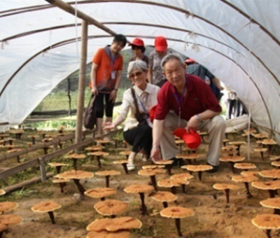 “七一勛章”獲得者張桂梅背后的故事：他們將靈芝磨成粉，送給她拌飯吃，說，吃這些能治病