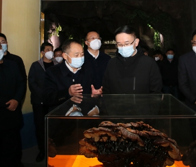 市委書記劉文華蒞臨仙客來公司調(diào)研指導