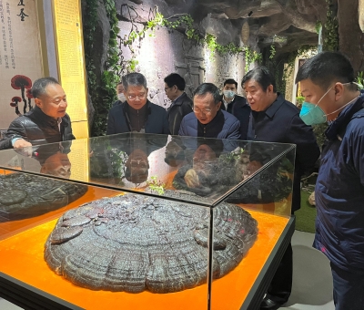 景德鎮(zhèn)市原副市長(zhǎng)徐耀純等蒞臨仙客來(lái)公司考察調(diào)研