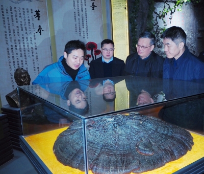 中國農業(yè)銀行江西省分行副行長李麒麟一行蒞臨仙客來公司參觀考察