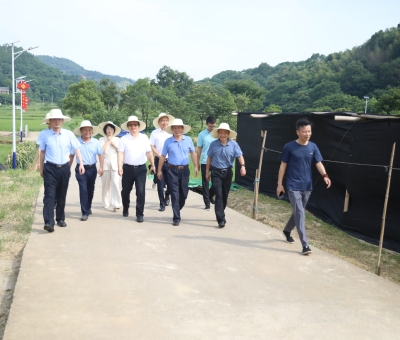 全國工商聯(lián)社會服務部部長吳建輝一行蒞臨仙客來靈芝標準化基地等地調(diào)研