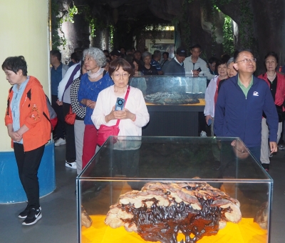 深深靈芝情！中華全國供銷合作總社再訪仙客來