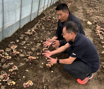 助力少數(shù)民族地區(qū)發(fā)展！潘新華應(yīng)邀前往西藏拉薩市和林芝市 共商產(chǎn)業(yè)發(fā)展良策